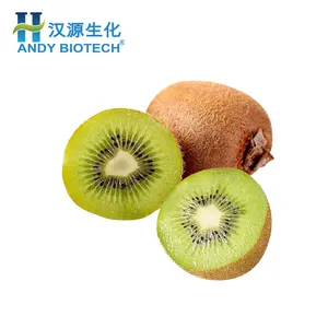 Factory Supply Gedroogd Kiwi Extract Poeder