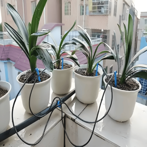 Stabilisateur de débit <span class=keywords><strong>capillaire</strong></span> en plastique 1-2 1-4 50cm, économiseur d'eau, <span class=keywords><strong>goutteur</strong></span> de verger à grand débit, goutte à goutte, flèche - Product Image 1