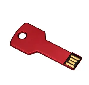 Promotional Metal Key Shape Pendrive Memory Stick Key U Disk Thumb Drive Webkey with URL 32GB Key USB Flash Drive