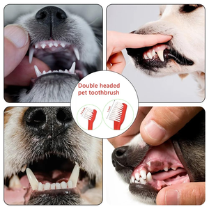 Brosse à dents double tête multicolore pour chiens et chats, vente en gros d'usine, pour l'hygiène dentaire des animaux de compagnie - Product Image 4
