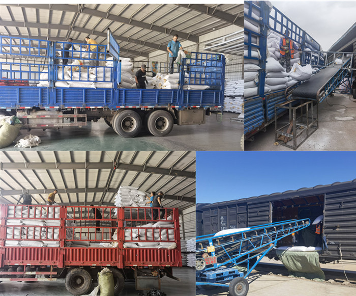 Fast Delivery Best Quality Bird Food White Bulk Sunflower Seeds 361