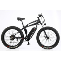 1000w büyük güç elektrikli kir bisiklet yerel nokta fabrika Ebike çin elektrikli bisikletler erkekler için Off Road elektrikli dağ bisikleti