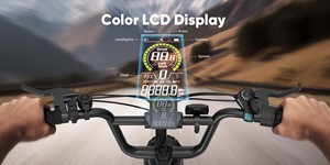 Bicicleta Eléctrica con Envío Gratuito en la UE, Motor de 250W, Neumático Grueso de 4.0'', Bicicleta Urbana de Acero al Carbono - Product Image 5