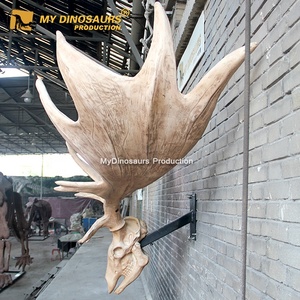 Khủng long của tôi j27 khủng long xương hóa thạch Triceratops đầu hóa thạch để bán - Product Image 4