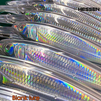 Leurre de pêche Minnow non peint, vierge, 180mm 81g, 160mm 66g, 140mm 47g, flottant/suspendu/affleurant, pour la pêche à la traîne