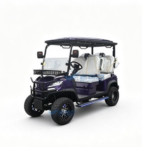 Carrito de Golf Eléctrico 2025 a Precios Bajos, con Control Remoto, Batería de Litio, Venta al Por Mayor, Vehículo Utilitario Eléctrico - Product Image 1
