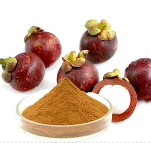 Kwaliteit Alfa Gamma Mangostin Referentie Standaard Mangosteen Extract Poeder 40% 98% Mangostin