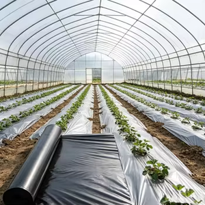 <span class=keywords><strong>Film</strong></span> de serre biodégradable sur mesure en PLA PBAT, souple, anti-goutte, pour la protection des cultures agricoles, <span class=keywords><strong>film</strong></span> de paillage biodégradable - Product Image 4