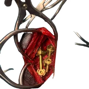 Micro instrumento médico veterinário no retrator - Product Image 1