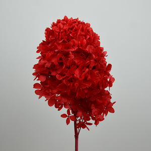 Fleur de décoration de mariage en gros, fleur naturelle stabilisée, hydrangea pagode avec tige, hydrangea préservé - Product Image 3