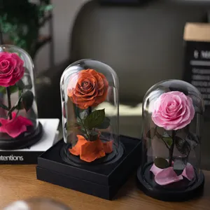 Real Natural Rose Belle Enchanted Mothers Day Gift Box Decor Everlasting Forever Eternal Rose Preserved Flower In Glass Dome LED