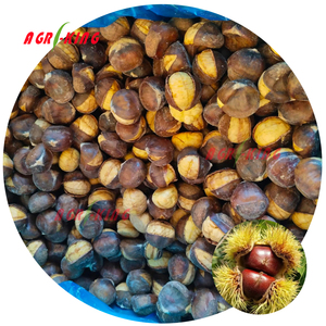 BRC HACCP Vente en gros Distribution en vrac Usine OEM Nouvelle saison Châtaignes surgelées IQF - Product Image 3