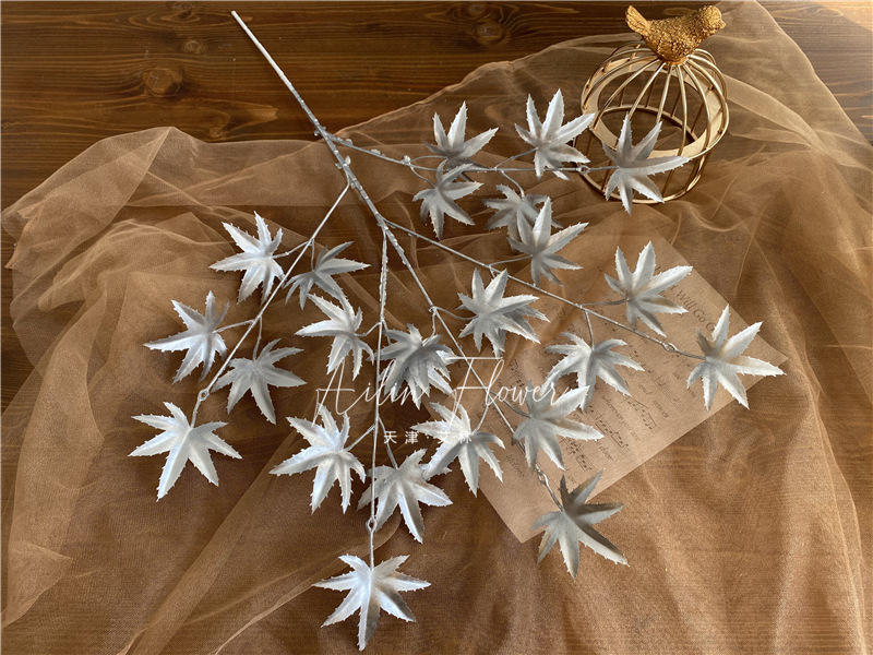 5 feuilles d'érable fourchu