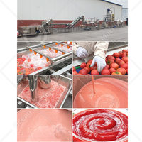 Chaîne de production de purée de tomate commerciale OCEAN : Machine de fabrication de purée de tomate et usine de traitement pour la production de concentré de tomate