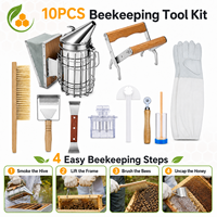 Kit d'outils d'apiculture de qualité supérieure, 10 pièces, en acier inoxydable, pour apiculteur professionnel, utilisation en ferme