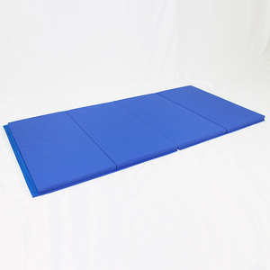 Hot Selling PVC <strong>Gymnastics</strong> <strong>Equipment</strong> <strong>Cheap</strong> Indoor and Outdoor Blue Kids' Fitness Gear - Product Image 2