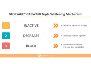 Ingrédients pour un éclaircissement rapide de la peau, atténuation des taches, élimination du mélasma, rapports d'efficacité clinique, 4 mécanismes clés - Product Image 4