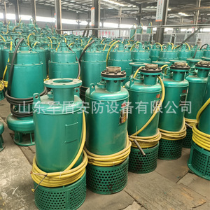 Bomba Sumergible Antideflagrante BQS para Minería BQS200-70-90 NKW Eléctrica con Conexión de Brida de Acero de Una Etapa y Baja Presión para Agua - Product Image 1