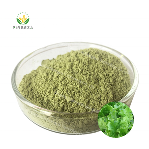 天然有機野生レタス葉エキスパウダーOEM ODMファクトリーレタスパウダー100% - Product Image 1