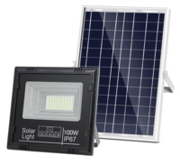 Reflector Solar de 100W para Exteriores, IP65 Impermeable, LED con Control Remoto, Seguro y Duradero, para Jardín, Patio, Piscina, 6500K, ABS