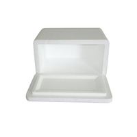 Boîte en mousse de polystyrène, boîte de refroidissement en polystyrène pour les poissons surgelés