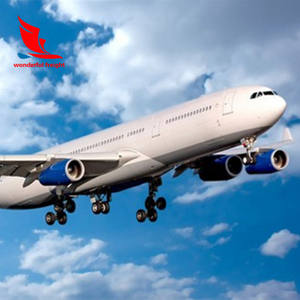 アラブ首长国连邦ドバイへのアラメックス航空 + エクスプレス送料 - Product Image 4