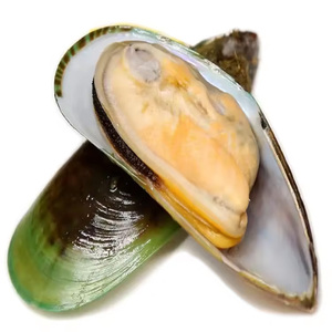<span class=keywords><strong>Mejillones</strong></span> Verdes Congelados en Media Concha IQF 30-40PCS/KG <span class=keywords><strong>Precio</strong></span> de Fábrica para el Mercado Estadounidense Suministro a Granel - Product Image 2