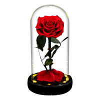Cadeaux pour la Saint-Valentin, roses éternelles sous cloche en verre avec lumière LED, fleurs éternelles qui ne s'acharnent jamais, pour fêtes, mariages, Nouvel An, Noël