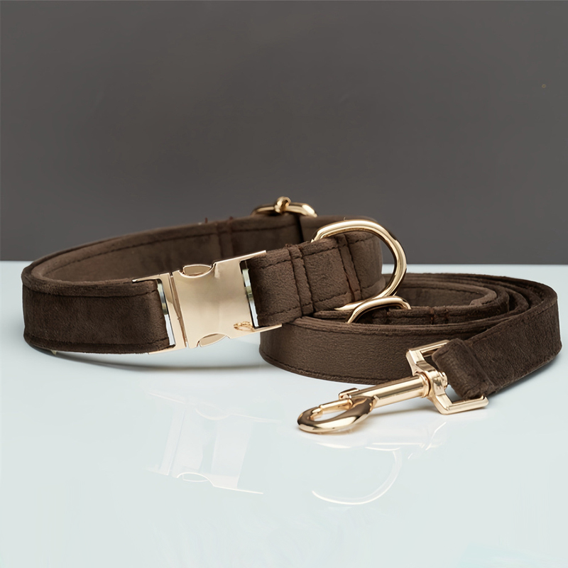 Collar marrón + correa
