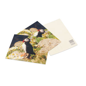 Tamaño estándar 148*115mm 105*140mm <span class=keywords><strong>Tarjeta</strong></span> <span class=keywords><strong>de</strong></span> recuerdo escénica turística Postal <span class=keywords><strong>de</strong></span> papel <span class=keywords><strong>de</strong></span> arte ecológica - Product Image 5