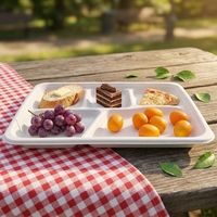Bandeja Rectangular Desechable Ecológica de 5 Compartimentos, Platos de Bagazo Compostables para Comida, Vajilla para Camping