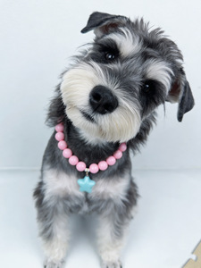 Collar de Corazón Color Caramelo Kawaii para Mascotas, Gargantilla con Cuentas de Estilo Dulce y Colgante de Acrílico con Corazón para Gatos y Perros Pequeños - Product Image 2