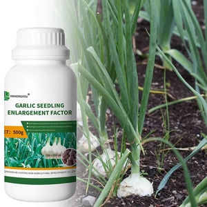 <span class=keywords><strong>Engrais</strong></span> Spécialisé pour l'Établissement des Jeunes Pousses d'Ail et l'Augmentation des Bulbes <span class=keywords><strong>Engrais</strong></span> Organique pour l'Ail - Product Image 1