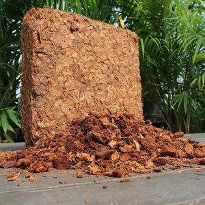 สหรัฐอเมริกาแคนาดาขายส่งเปลือกเปลือกเปลือกมะพร้าวมะพร้าว Coco ก้อน - Product Image 1