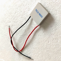 Module de refroidissement thermoélectrique Shenzhenrainbowsemi TEC2-19003 Peltier 30*30MM à double couche semi-conducteur électronique