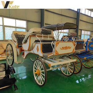 Carroza Eléctrica Elegante para Turismo en Venta - Product Image 2