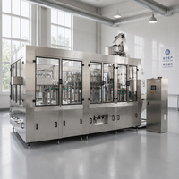 Machine de remplissage automatique de jus, équipement de remplissage à chaud, ligne d'embouteillage de jus de fruits, remplisseur de liquides pour la production de bouteilles en PET et en verre