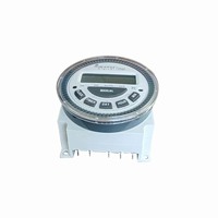 Temporizador de riego de jardín TM619, temporizador de intervalo de salida de potencia, temporizador programable Digital 10A 16A 30A, batería reemplazable de 3V, 220V