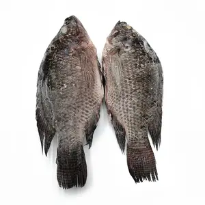 Ikan beku hitam dan merah tilapia seluruh tilapia nile tilapia