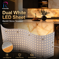 Feuille lumineuse LED flexible bicolore CCT 2700+6500K réglable, SMD2835, feuille de rétroéclairage LED flexible double blanc