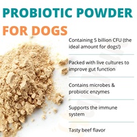 Vente en gros de poudre de probiotiques à étiquette privée 200g, complément alimentaire pour la santé digestive, compléments alimentaires pour animaux de compagnie, probiotiques pour chiens, saveur de bœuf