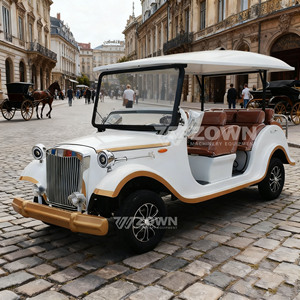 Voiture électrique de tourisme vintage blanche 8 places avec sièges marron et garnitures dorées pour utilisation en parc - Product Image 4