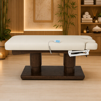 Fauteuil de soin esthétique électrique multifonction avec appui-tête à ressort à gaz, accoudoirs amovibles et télécommande, inclinable pour salon et clinique