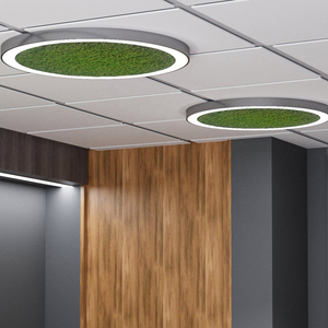 โคมไฟระย้ามอสส์ทรงกลมสีเขียว1ม./2ม./3ม./4ม./5ม. โคมไฟ LED มีสีดำ/ขาว/เงิน/ทอง - Product Image 3