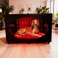 GLPE OEM ODM Lit pour animaux de compagnie en métal avec dispositif de thérapie par lumière rouge infrarouge PDT pour chiens et chats, pour usage domestique