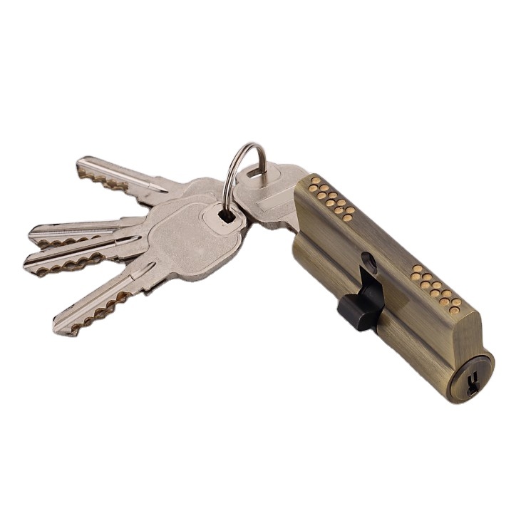 Elevating Door Security with Channel Lock
