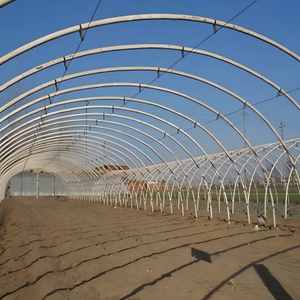 Grande serre commerciale à portée unique, alimentée à l'énergie solaire, avec récolte automatisée, couverture en film PE transparent et structure stable pour les légumes-feuilles - Product Image 5