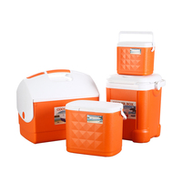 Glacière portable moderne 10L/20L en orange Nouvelle tendance pour les médicaments à insuline et le stockage des aliments pour le camping