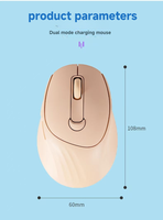 Souris ergonomique sans fil OEM/ODM avec rétroéclairage LED, orange clair, pour droitier, avec charge Type-C, pour bureau et domicile, en stock