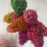 Bunga Hias Alami Bentuk Kerucut Hydrangea Tahan Lama, Bunga Hydrangea Kering Diawetkan untuk Dekorasi Natal dan Pernikahan